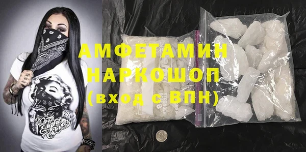 гидра Михайловка