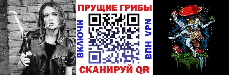 Галлюциногенные грибы прущие грибы  где продают   Цивильск 