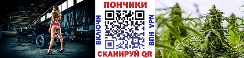 Шишки марихуана Amnesia Цивильск
