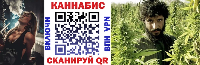 Бошки марихуана VHQ  купить  сайты  Цивильск 